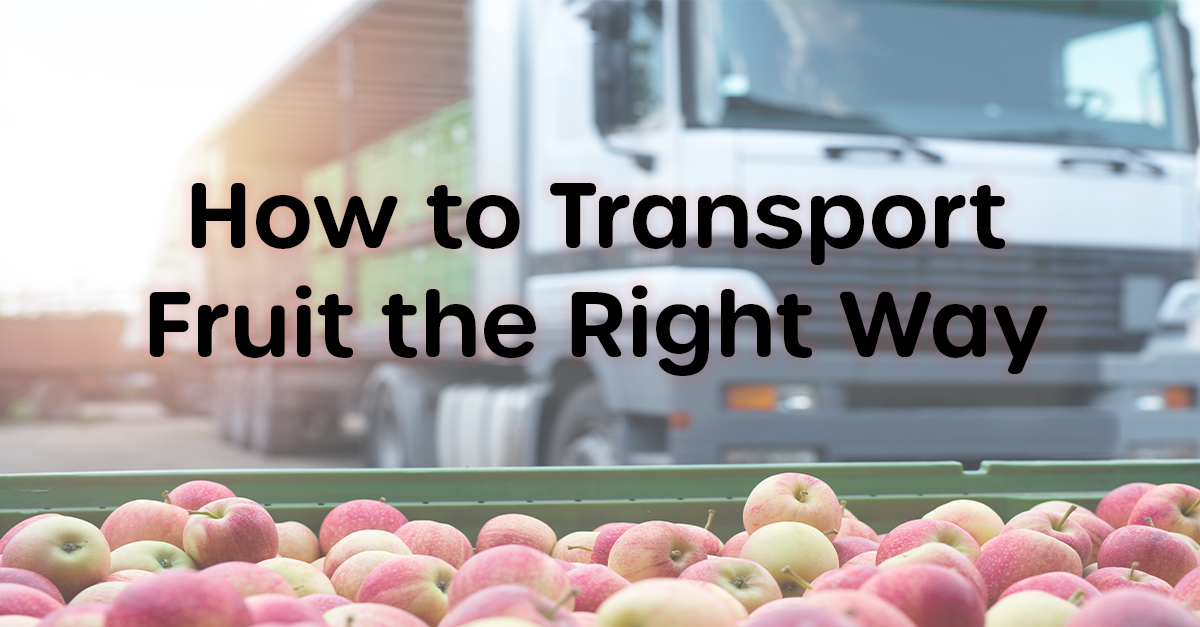 News and Insights from Able Freight